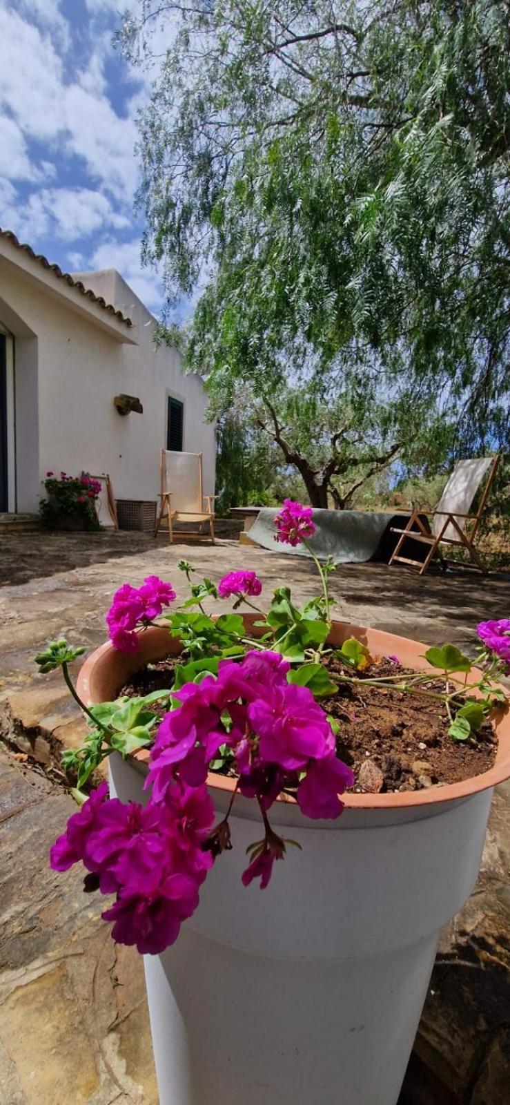 Casa Ibiscus Villa Marsala Exterior photo